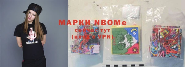 хмурый Белокуриха