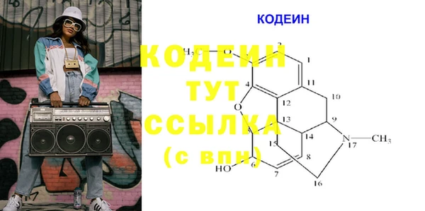 хмурый Белокуриха