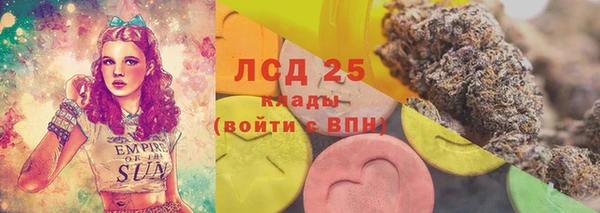 хмурый Белокуриха