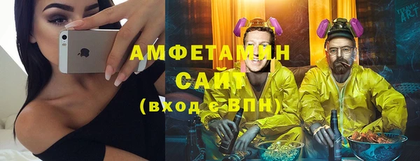 хмурый Белокуриха