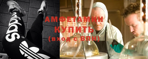 хмурый Белокуриха